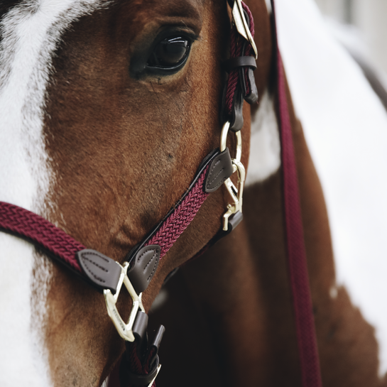 Недоуздок Plaited Nylon, Kentucky Бельгия