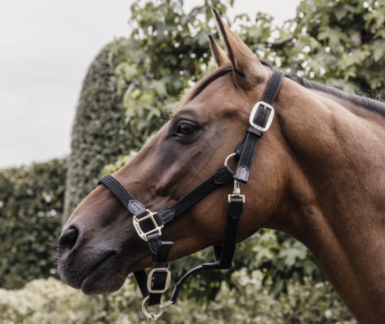 Недоуздок Plaited Nylon, Kentucky Бельгия