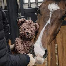 Игрушка Bear, Kentucky Бельгия