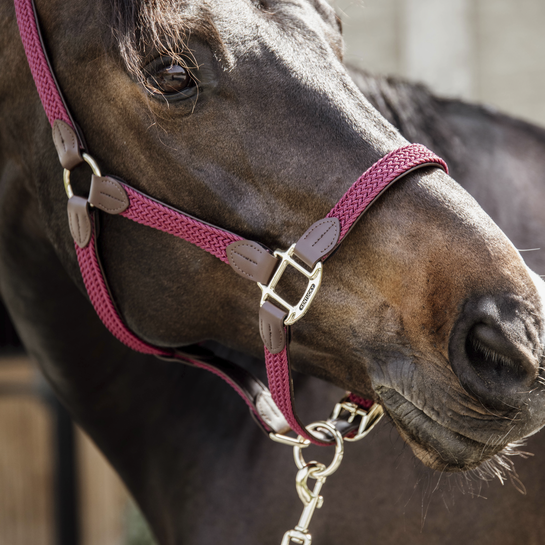 Недоуздок Plaited Nylon, Kentucky Бельгия