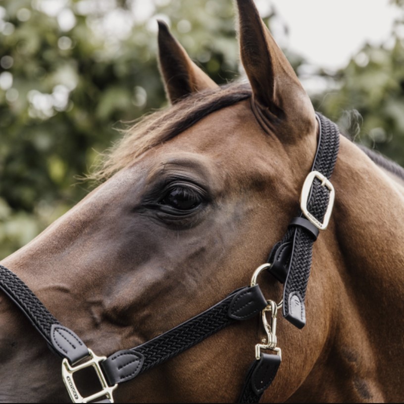 Недоуздок Plaited Nylon, Kentucky Бельгия