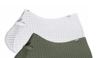 Вальтрап Выездковый Cotton, Eskadron Германия