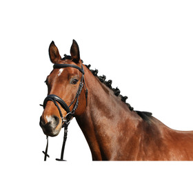 Уздечка Nantes, Euroriding Германия, код 140080