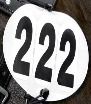 Номерок круглый белый, Waldhausen Германия