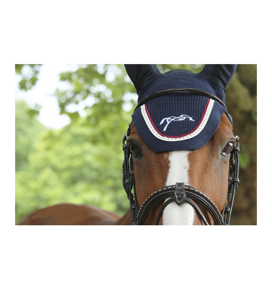 Ушки Point, Ekkia Франция