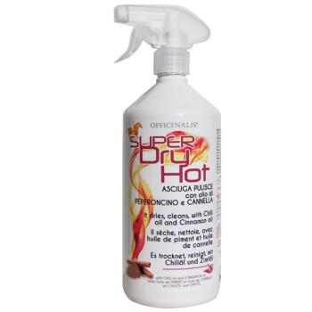 Очищающее средство Dry Hot, 1 литр, Officinalis Италия