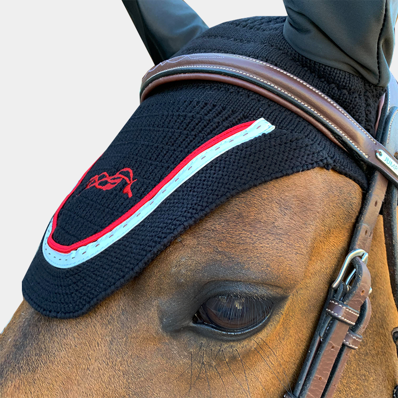 Ушки Point, Ekkia Франция