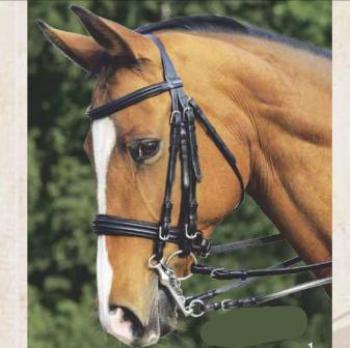 Оголовье выездковое Lexington, Natural Line, в комплекте с поводьям, Euroriding Германия