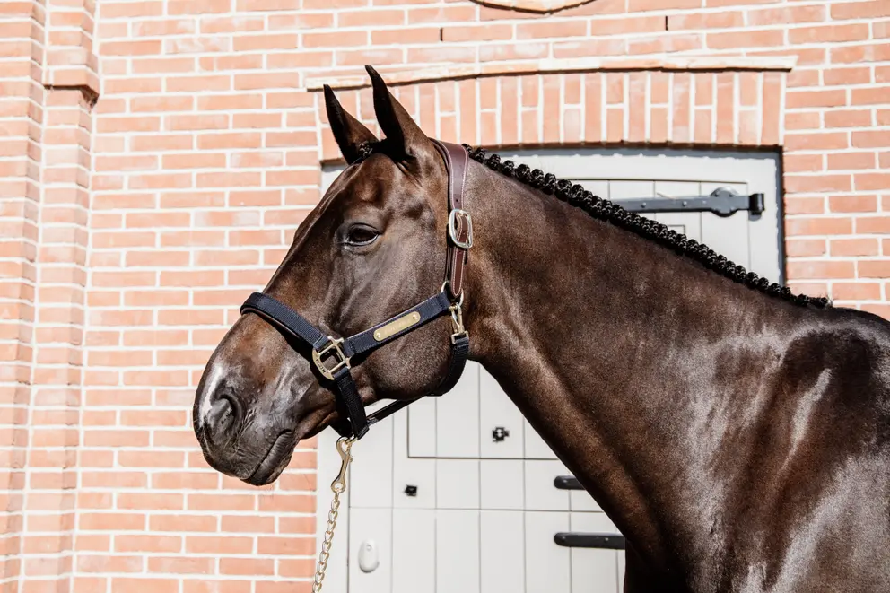 Недоуздок Nylon Anatomic, Kentucky Бельгия