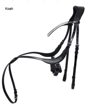 Уздечка Koah, мексиканский капсюль, Bonjour, Toto! Канада