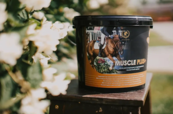 Подкормка Muscle Plus/Мускул плюс,3 кг, WIESSMAN Беларусь