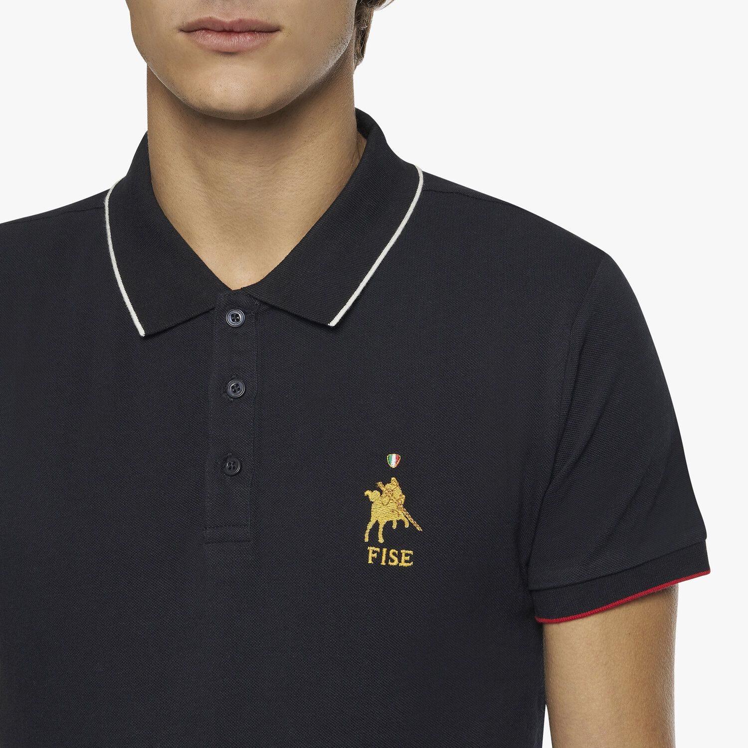 Рубашка-поло мужская Fise, Cavalleria Toscana Италия