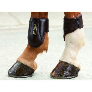 Ногавки задние, конкурные, Dalmar,Ирландия