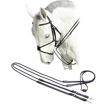 Шпрунт, Prestige Италия