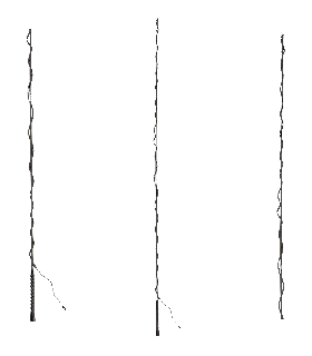 Бич складной, Waldhausen Германия