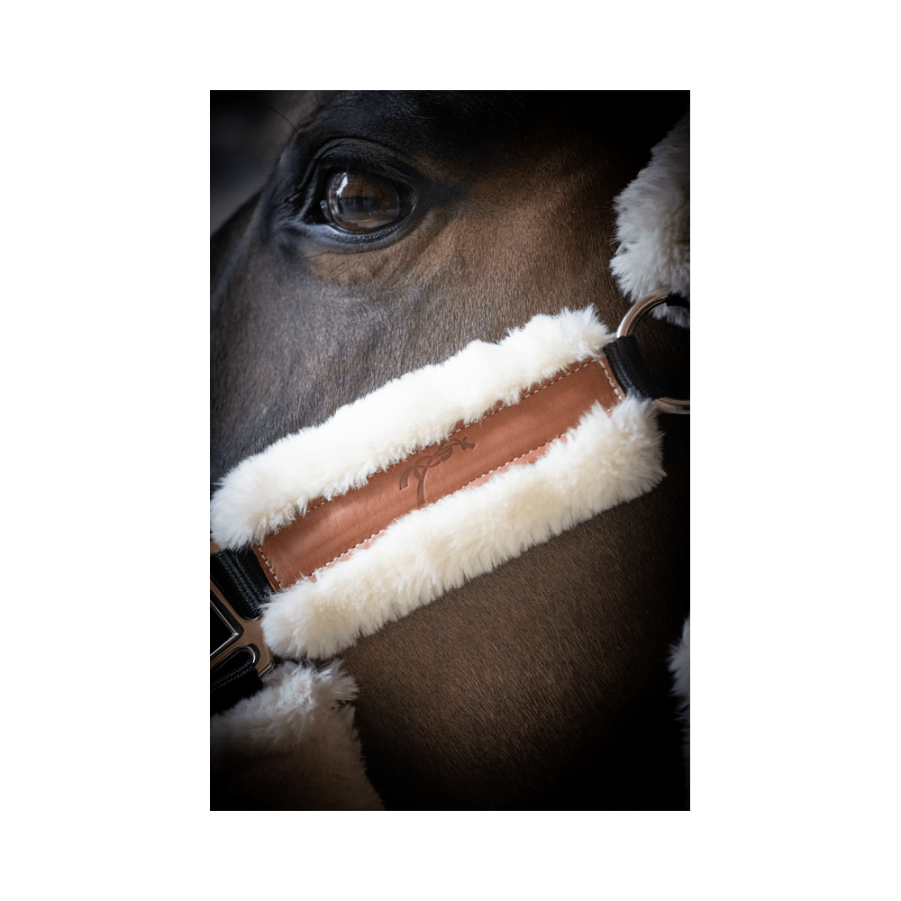 Недоуздок Soft, Penelope Франция