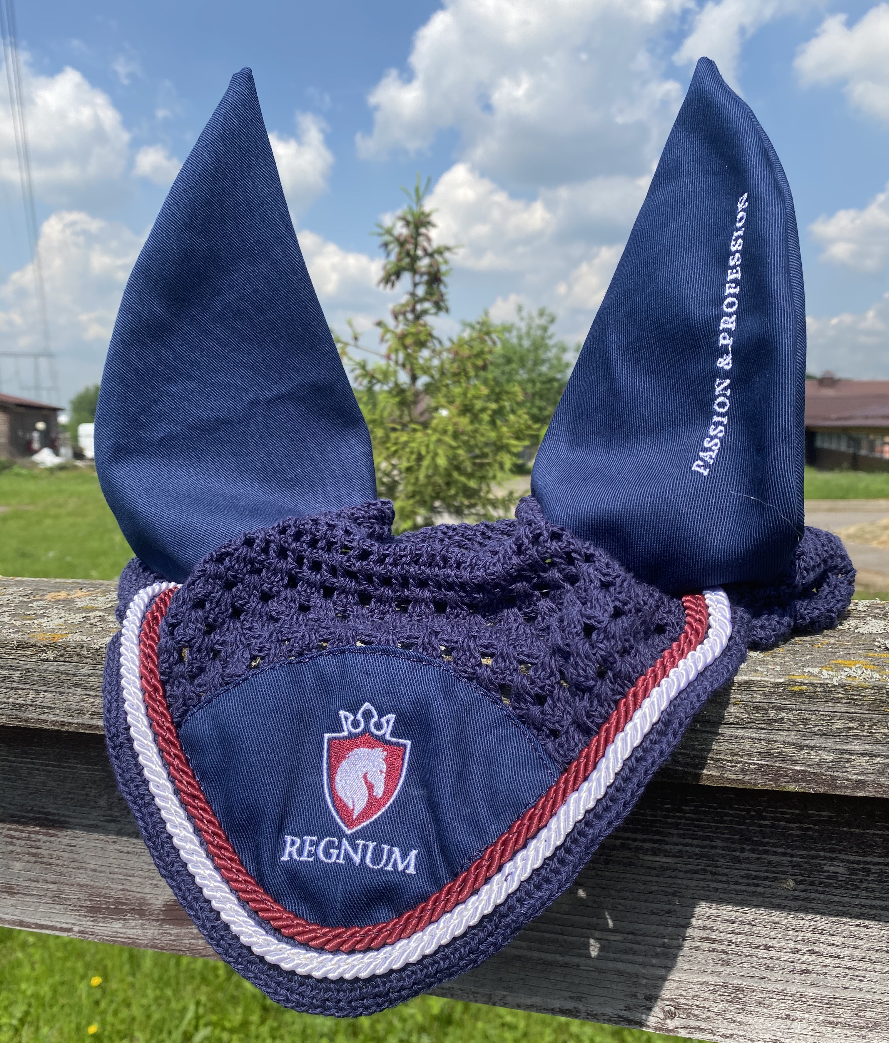 Ушки с вышивкой, Regnum Россия