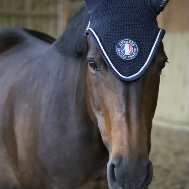 Ушки, Antares Франция