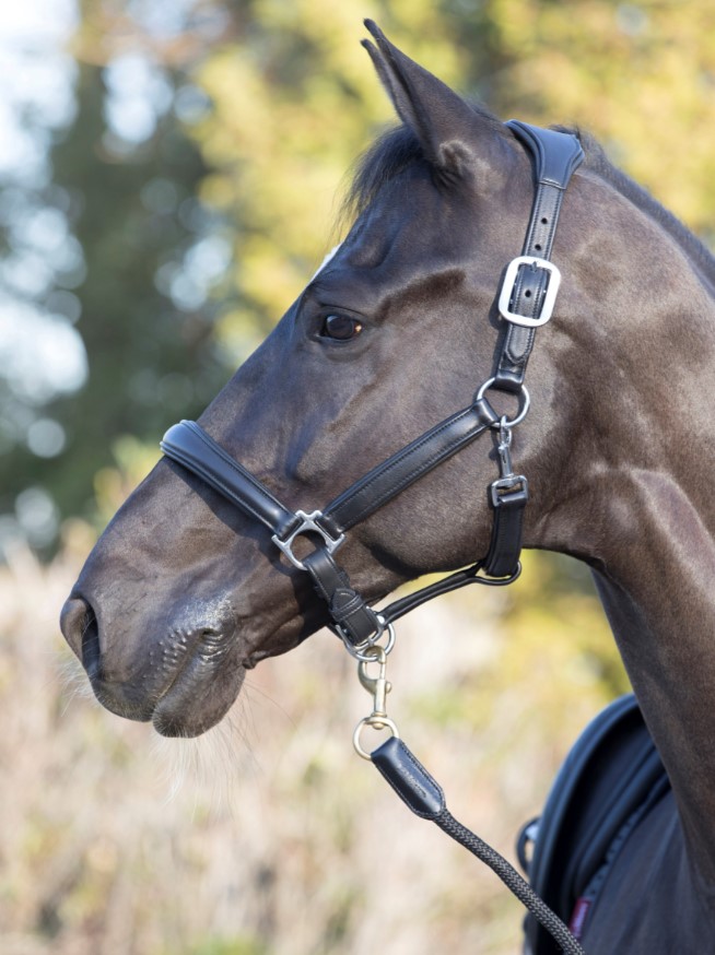 Недоуздок Anatomic, LeMieux Великобритания