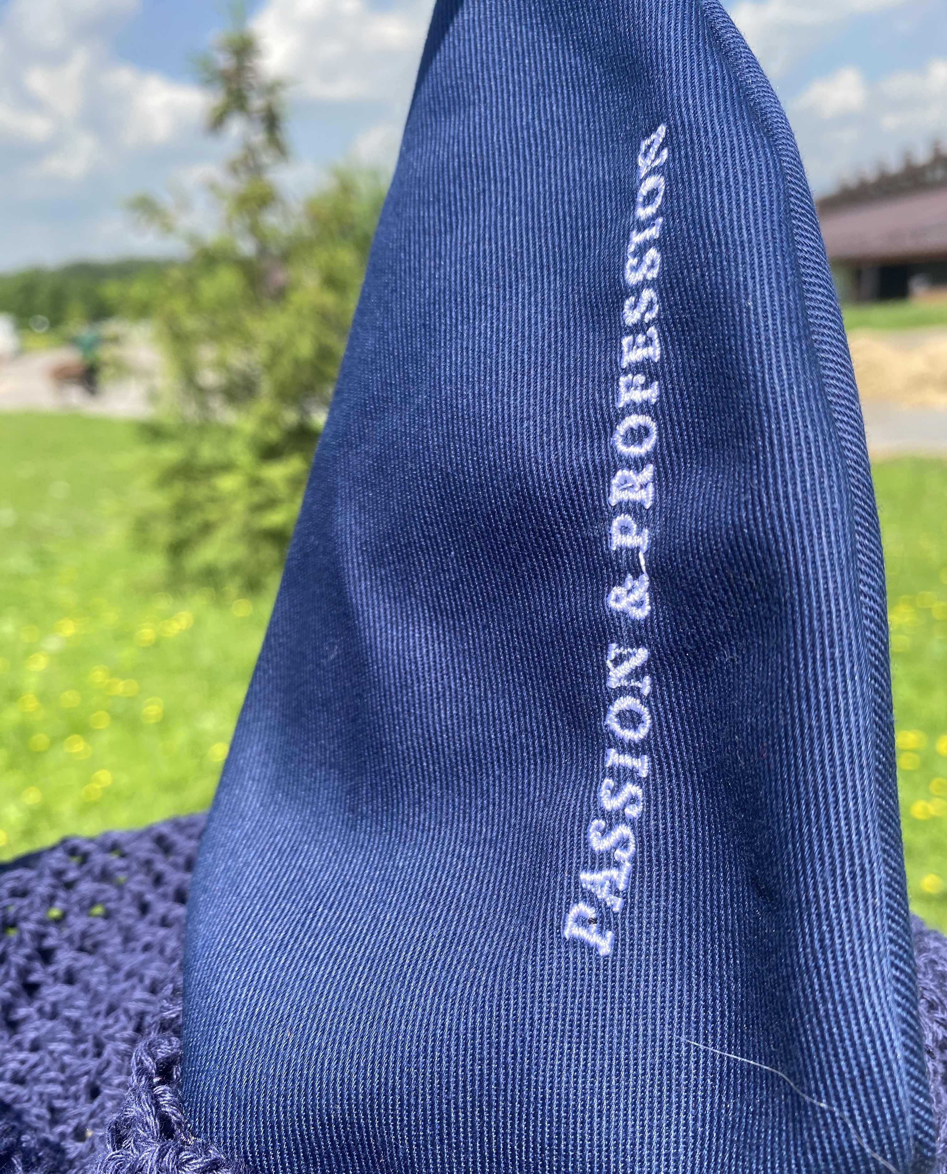 Ушки с вышивкой, Regnum Россия